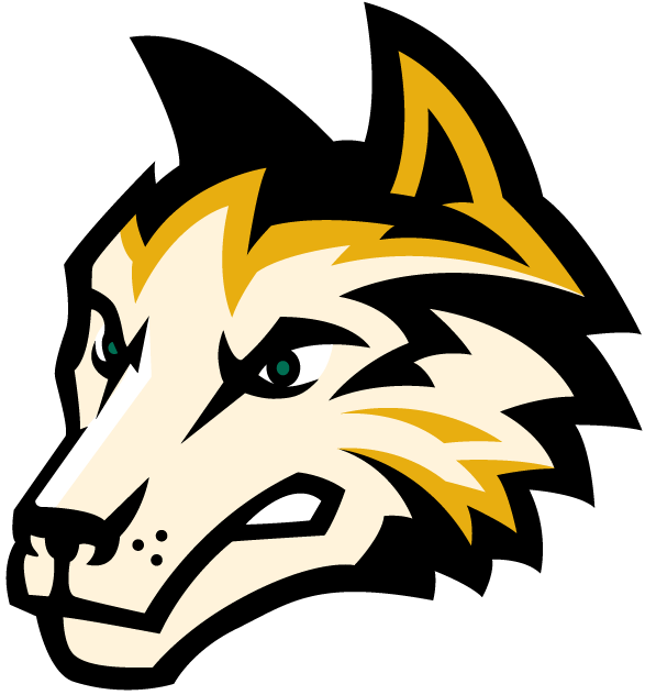 Wright State Raiders 2001-Pres Alternate Logo vinyl decal